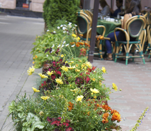 Городское озеленение в Москве.